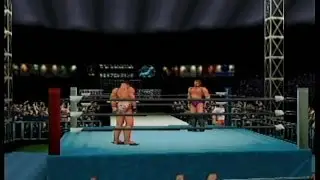 A Virtual Pro Wrestling 2 MMA Rules Match