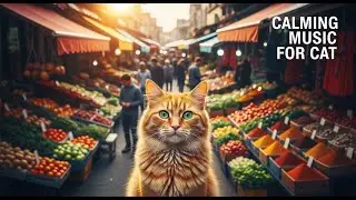 12 Hours of Soothing Sounds for Anxious Cats : Deep Sleep, Relaxation, and Insomnia Relief 💖🐈😌