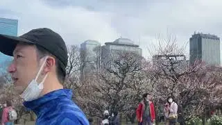 Osaka Castle, Osaka, Japan