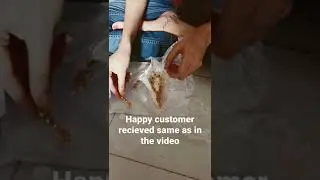 nice party wear chain