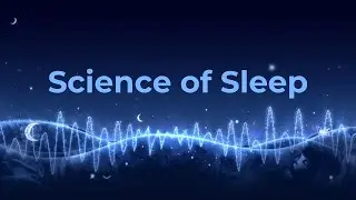 Work Harder in Your Sleep | Surprising Body Facts