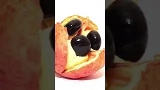Top 7 Most Dangerous Fruits In Earth #Fruits #shorts #facts