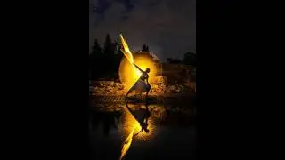 Celebration of the Light Forces
