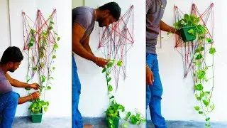 Money Plant Living Wall | Indoor Pothos Climbing Plants DIY//GREEN PLANTS