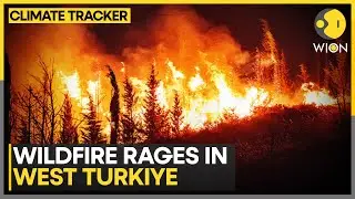 Turkey Wildfire: &nbsp;More Than 50,000 People &nbsp;Evacuated | WION Climate Tracker