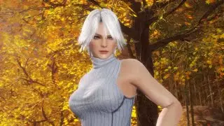 Dead or Alive 6 - Arcade Christie