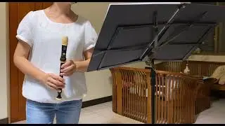 于文文-體面/高音直笛/【前任3:再見前任】電影插曲