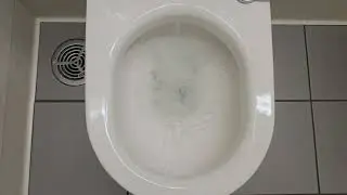 2018 Duravit Starck Wall Hung toilet on a Geberit? Flush Panel