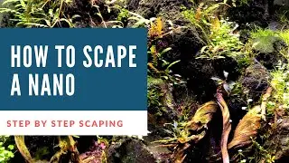 How To Build Planted Tank I Step by Step Nano Aquascape I Nano Nature Aquarium