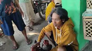 minggu 10/8/2025 || pasar hewan Ciledug,Cirebon