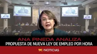 Ana Pineda analiza propuesta de nueva Ley de Empleo por Hora