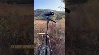 #leupold #weatherby #307model #243win #glassing #hunting #music #rock #wildlife #conelsellodelacasa