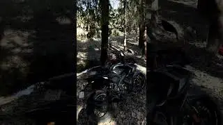 the lion's Hungary short video rs200 vs hunter #rs200 #hunter #trending #new