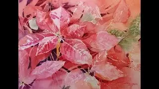 Transparent Watercolor Demonstration:  Holiday Poinsettia