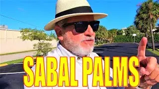 SABAL PALMS | OUR STATE TREE
