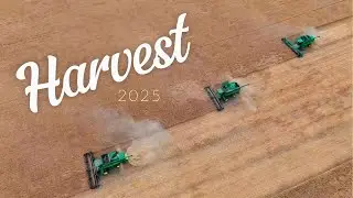 Harvest in Special Areas No. 3 | Drone Views of Farm Life 2025
