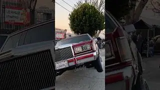 Lincoln Town Car LOWRIDER cruising in 3 wheel motion, hitting switches! East Los Angeles, California