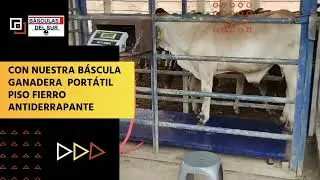 B&aacute;sculas del Sur viajando a Naranjos, Ver.