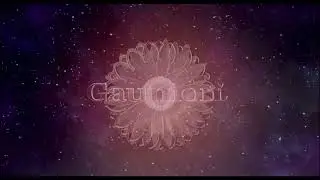 Gaumont/Radar Pictures (2010)