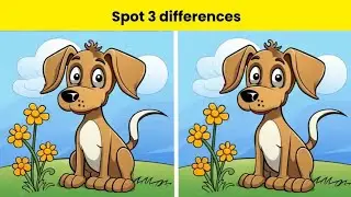 Find 5 Differences between two pictures | #spotthedifference #find5differences