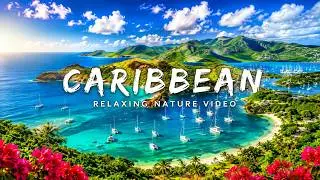 Caribbean in 4K | Tropical Beach, Island Scenery & Relaxing Nature