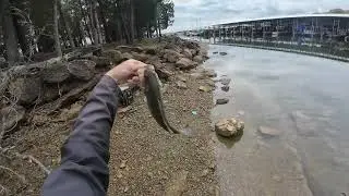 Epic East Tennessee Dam Fishing