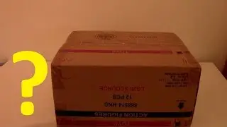 Unboxing Video from RobotKingdom
