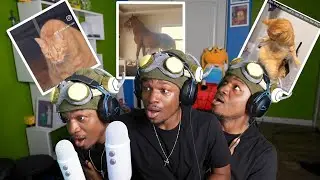 One of the funniest ones yet | Try not to laugh #48