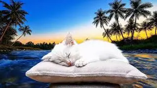 Midnight River Sleep: Cat Dozing Under Stars with Whispering Water Sounds