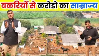 26 साल सफलता के, ऐसे शुरू करे बकरी पालन II Goat Farming Business II Bakri Palan II Goat Farm