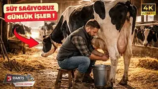 Kışın Başlangıcı! | Çiftlikte Rutin İşler! FS25 Hof Bergmann #5