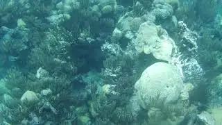 Top of Furnace of Shipwreck of Montana Confederate Blockade Runner