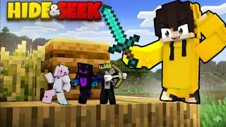 WE Played the Craziest HIDE & SEEK in MINECRAFT !!