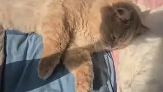 Mom, my feet are clean&hellip; I swear! 😹