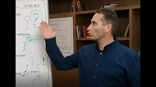 4 brain based learning tips - in Macedonian