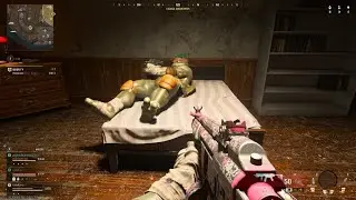 Turtle Mating
