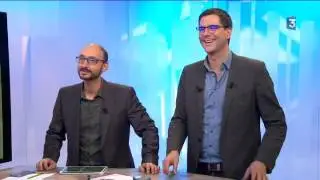Les maladies des arbres