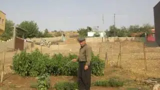 hasani iske