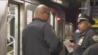 Understanding NYC subway crime trends