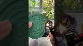 How to clear all the mosquitoes in your house and backyard #mosquitotrap #insect #home