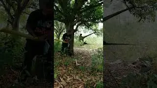 open dinosaur attack satakosia jungle #dinosaur#youtube#share#shorts