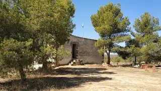 Windy valley finca: Our old off-grid olive & almond farm in Spain
