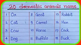20 domestic animal name |20 pet animals name|domestic animals names in English|paltu janvaron kenaam