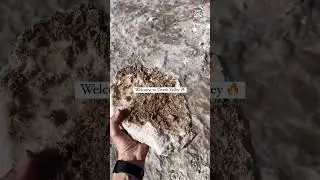 Exploring the wonders of Death Valley National Park