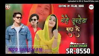 SR_8550_ASLAM_SINGER_ZAMIDAR_NEW_SONG___मोहे_जुरहेड़ा_बुला_ले___NEW_MEWATI_VIDEO_SONG___DIGITAL_MEWAT