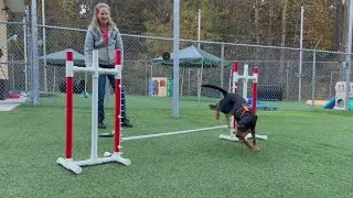 Kestrel Agility Skills | verbal discrim - left vs right wrap 110222