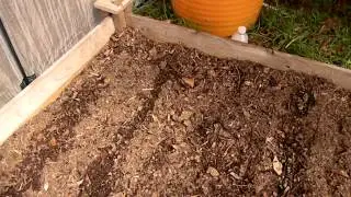 2012 March portable greenhouse salad garden first vid.