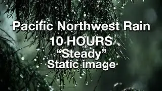 Pacific Northwest Rain Sounds for Sleeping or Studying 🌧️ White Noise Rainstorm 10 Hours SEATTLE