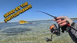 Saved by the Switchprawn!