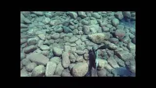 Chasing fish at Three Pools, Dahab, South Sinai